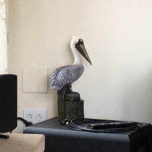 Meet your Posher, Colton